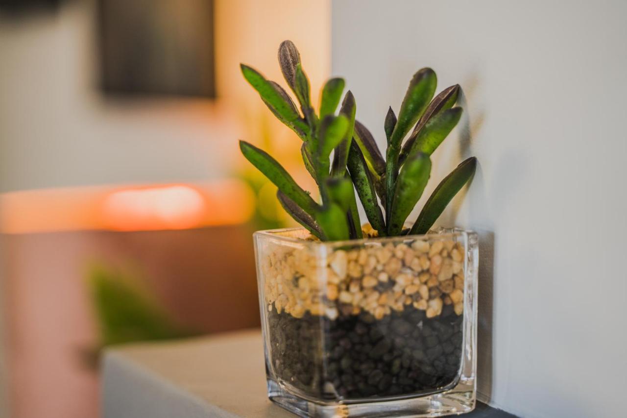 Green Apartment Ground Floor Feel Like Home Properties Saronida Kültér fotó